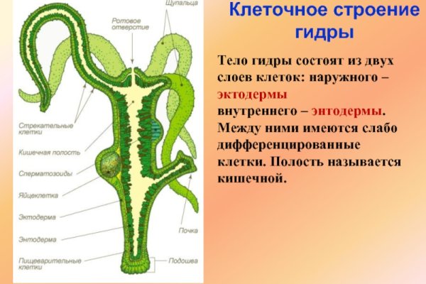 Кракен даркнет что известно