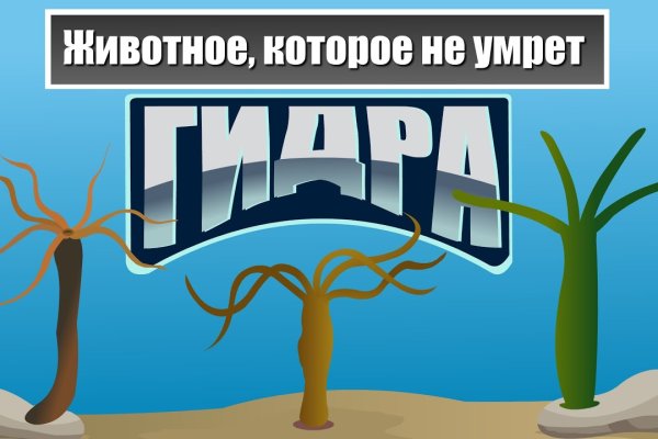 Кракен даркнет поддержка