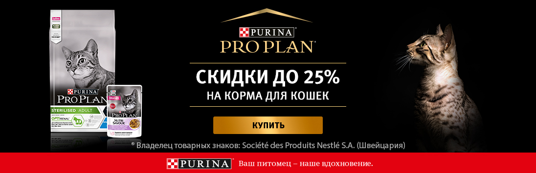 Кракен наркоторговец